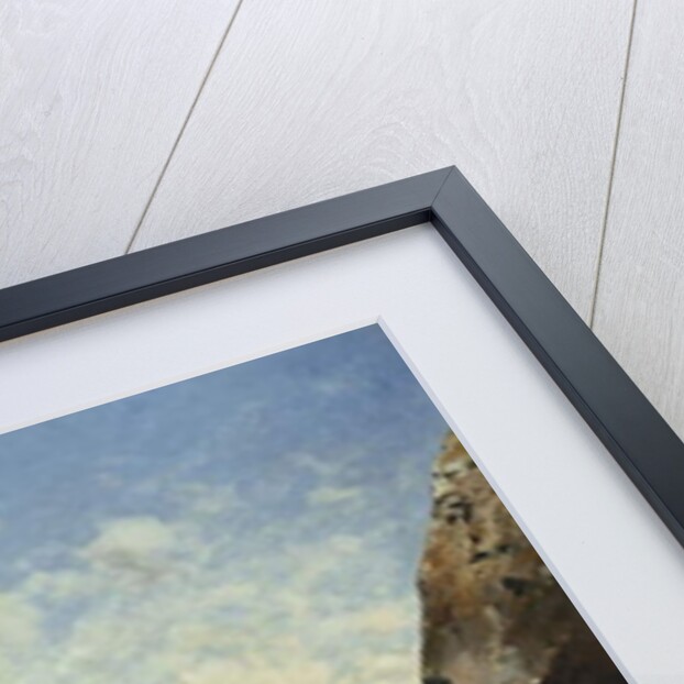 A Norweigan Fjord, 1891 by Julius Rose