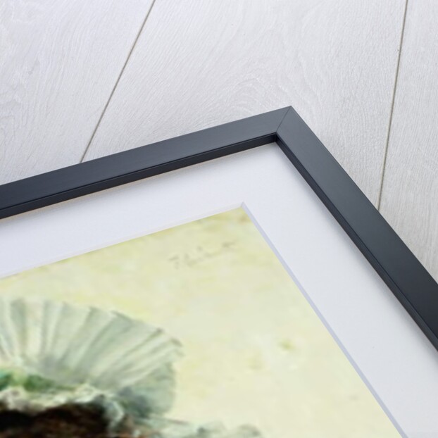 The Letter by Federigo Andreotti