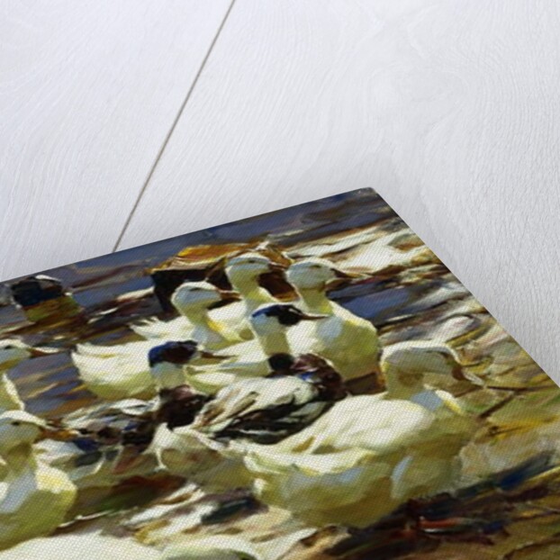 Ducks in the Pond; Enten im Teich, by Alexander Koester