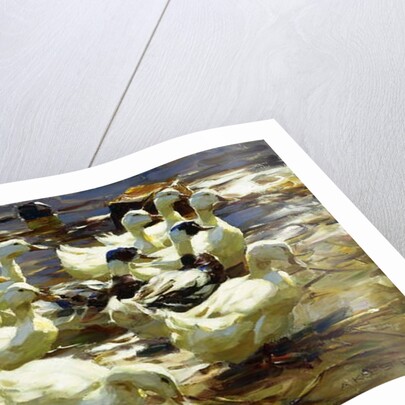 Ducks in the Pond; Enten im Teich, by Alexander Koester