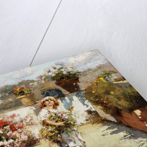 A Young Girl Gathering Flowers in the Sunshine, by Vicenzo Irolli