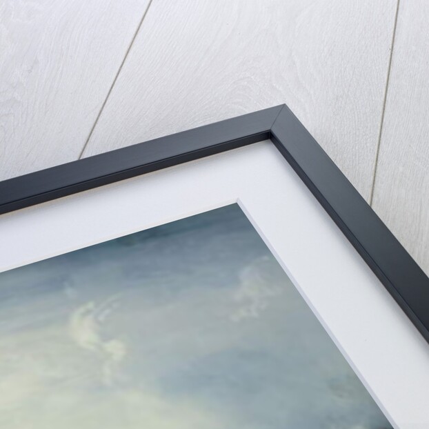 The War in Italy: The Battle of Palestro, the King of Sardinia Heading the Troops, 1859 by Carlo Bossoli