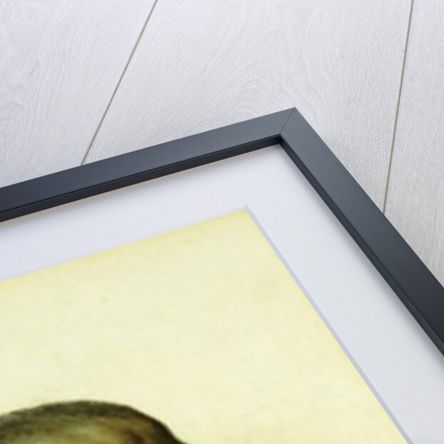 Portrait of an Arab Man, by Filipo or Frederico Bartolini