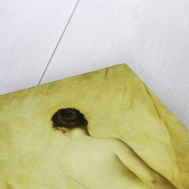 A Partially Draped Nude, by Charles Joshua Chaplin