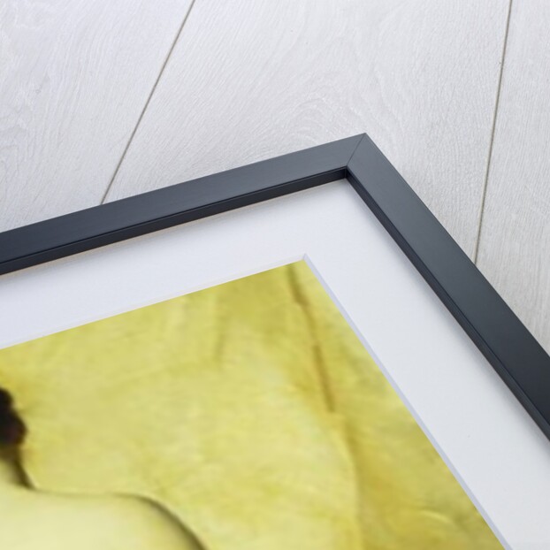 A Partially Draped Nude, by Charles Joshua Chaplin