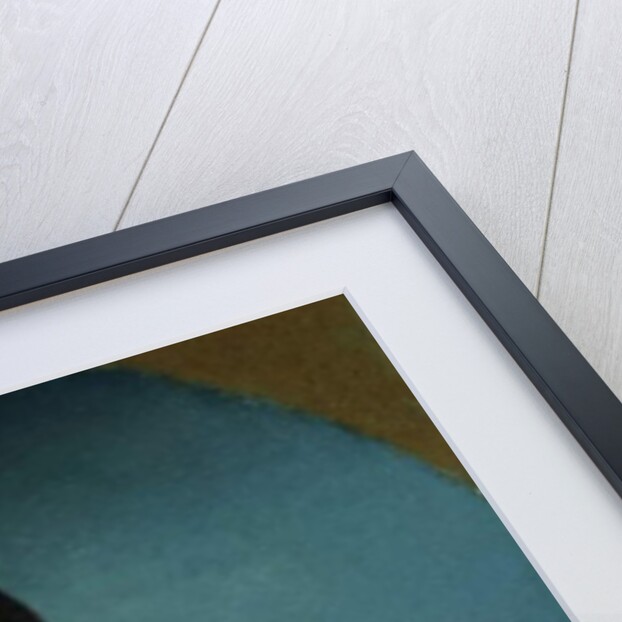 Portrait of the Three Daughters of Charles Naudier, 1854 by Eugene Emmanuel Amaury-Duval