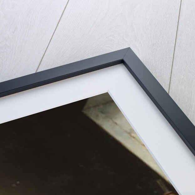 The Poetess, 1880 by Fritz Zuber-Buhler