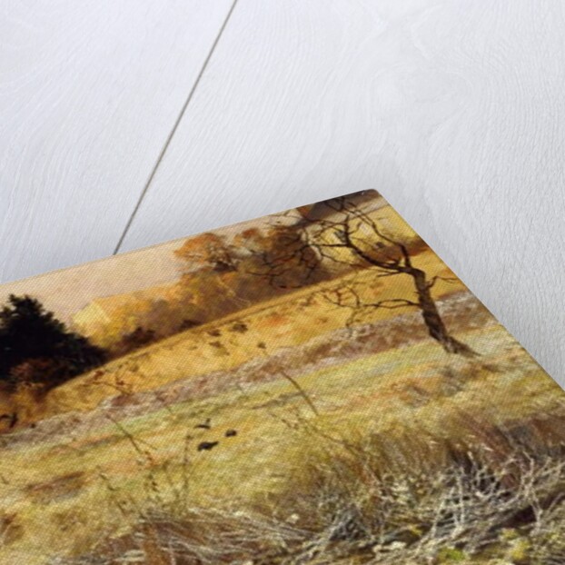 The Hoar Frost, c.1900 by Fritz Thaulow