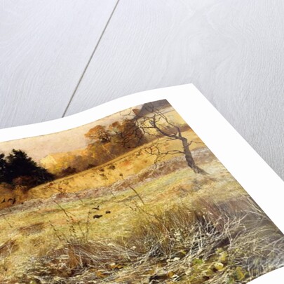 The Hoar Frost, c.1900 by Fritz Thaulow