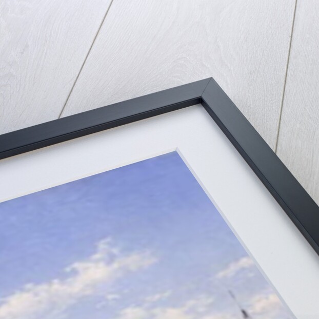 The Grand Canal, Venice, 1883 by Federico del Campo