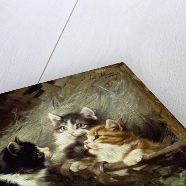 Any Room in the Basket? Julius Adam by Julius Adam