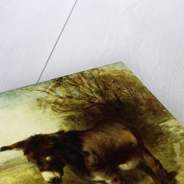 A Brown Study, 1853 by William Huggins