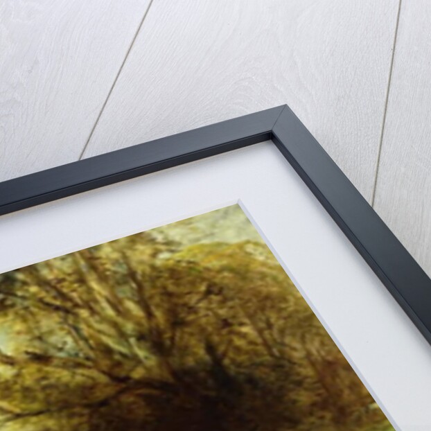 A Brown Study, 1853 by William Huggins