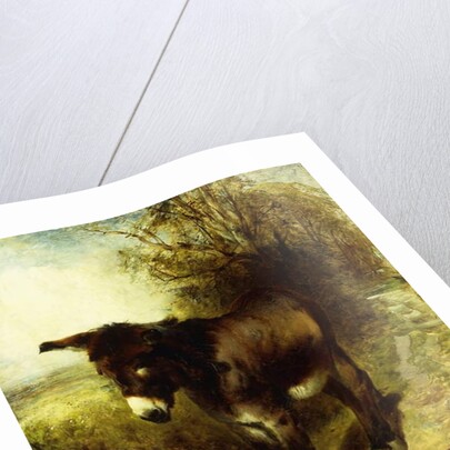 A Brown Study, 1853 by William Huggins