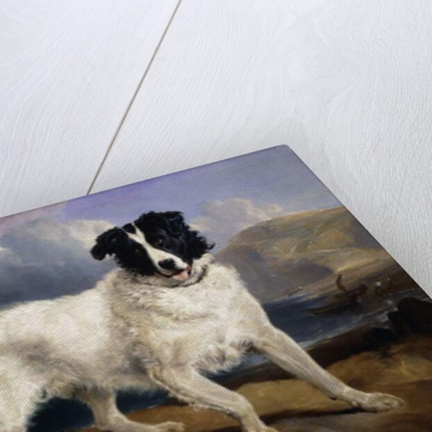 A Portrait of Neptune, 1824 by Edwin Landseer