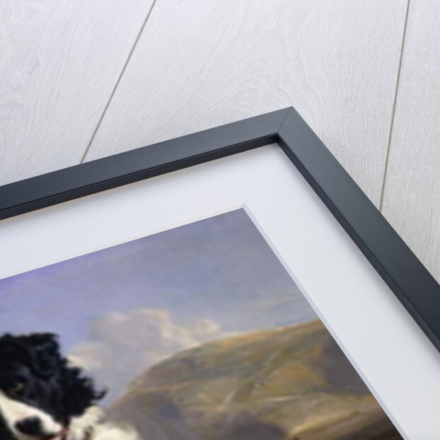 A Portrait of Neptune, 1824 by Edwin Landseer