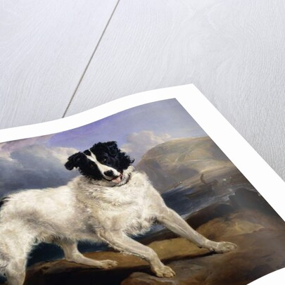 A Portrait of Neptune, 1824 by Edwin Landseer