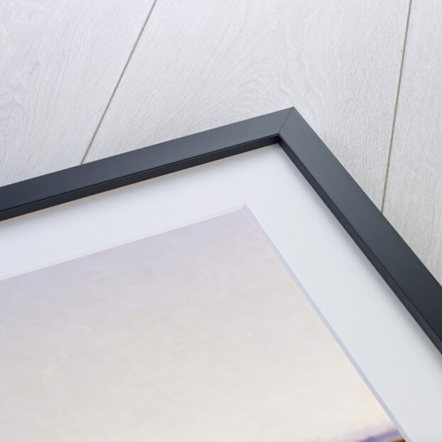 Arab Horsemen watering in an Oasis by Victor-Pierre Huguet