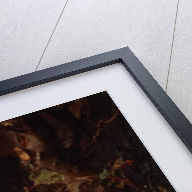 Still-life with Fruit and Insects by Rachel Ruysch