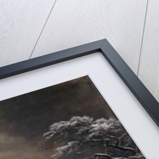 View of the Hekelveld, Amsterdam, in Winter, looking South, by Jacob Isaaksz. or Isaacksz. van Ruisdael