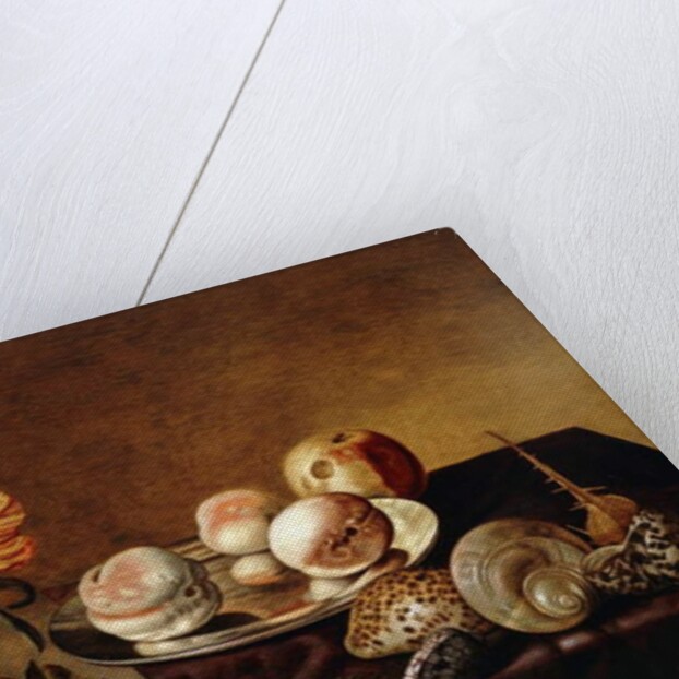 A Silver Plate of Peaches, a Vase of Parrot Tulips, Pears and Shells on a Partly Draped Table by Bartholomeus Assteyn