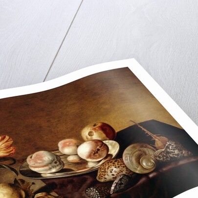 A Silver Plate of Peaches, a Vase of Parrot Tulips, Pears and Shells on a Partly Draped Table by Bartholomeus Assteyn