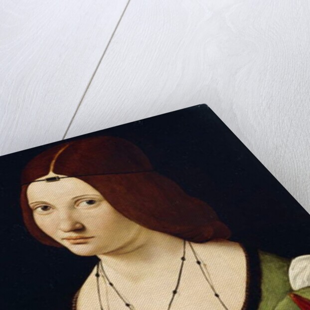 Portrait of a Lady, said to be Clarice Pusterla, half-length, in a Green Dress by Giovanni Antonio Boltraffio