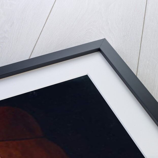 Portrait of a Lady, said to be Clarice Pusterla, half-length, in a Green Dress by Giovanni Antonio Boltraffio