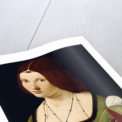 Portrait of a Lady, said to be Clarice Pusterla, half-length, in a Green Dress by Giovanni Antonio Boltraffio