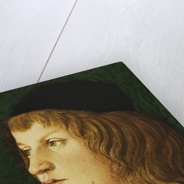 Portrait of a Youth, bust-length, in a Dark Cap, c.1475 by School Florentine