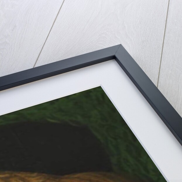 Portrait of a Youth, bust-length, in a Dark Cap, c.1475 by School Florentine