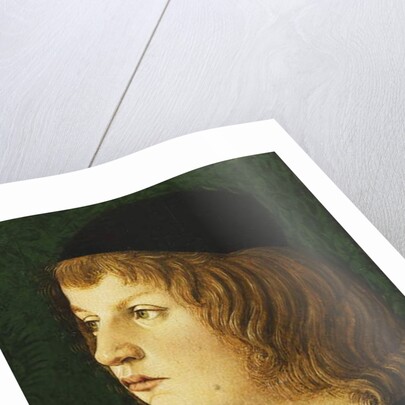 Portrait of a Youth, bust-length, in a Dark Cap, c.1475 by School Florentine