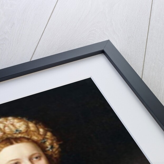 Portrait of a Lady, three-quarter-length, in a burgundy dress with slashed sleeves, holding gloves by Bernardino Licinio