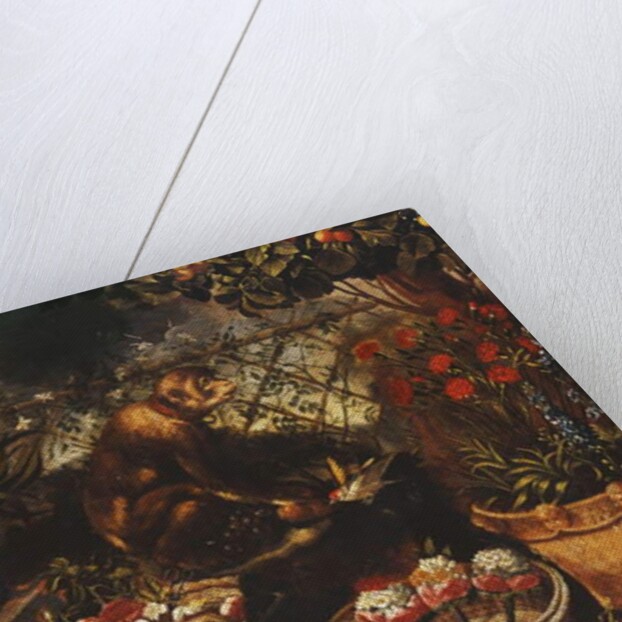 A Monkey in a Fenced Garden by Thomas Hiepes