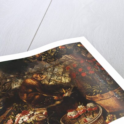 A Monkey in a Fenced Garden by Thomas Hiepes