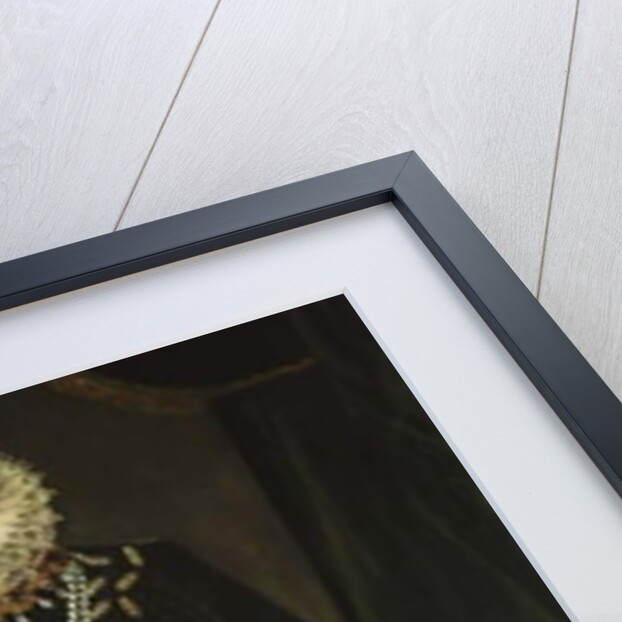 Portrait of the Infanta Isabel Clara Eugenia of Bourbon by Juan Pantoja de la Cruz