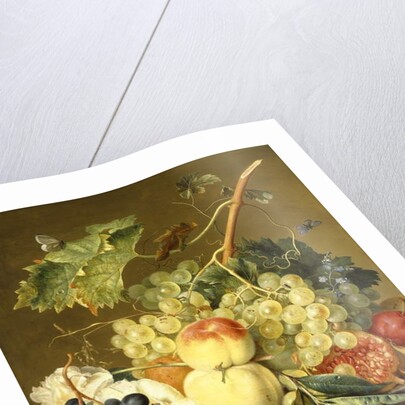 Fruit, Hazelnuts and Hollyhocks on a Marble Ledge by Jan van Huysum