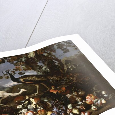 A Peacock and a Penhen with Fruit and Flowers in a Park by Franz Werner Tamm