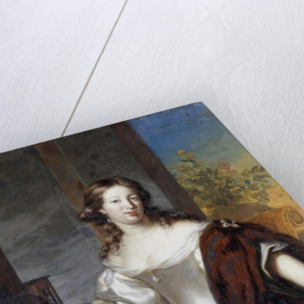 Portrait of a Lady by Arnold Boonen