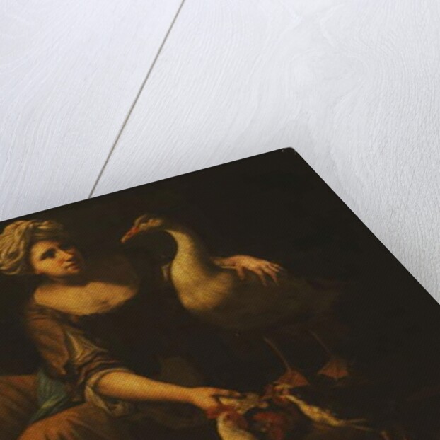 A Girl Feeding Cockerels, with a Cat on a Basket, a Goose, Duck and other Birds by Tommaso Salini