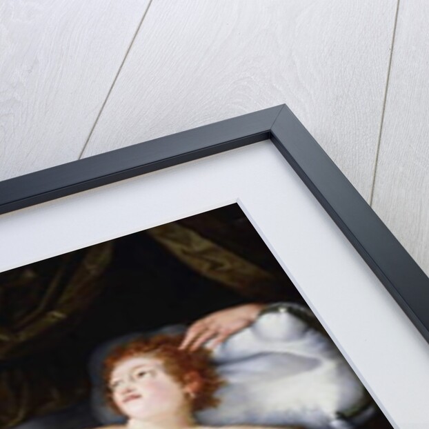 Danae by Vincent Sellaer