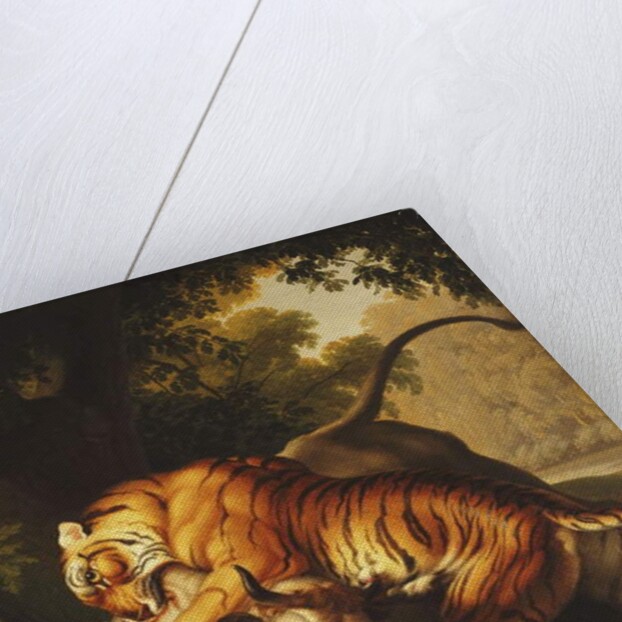A Tiger attacking a Bull, 1785 by Johan Wenzel Peter