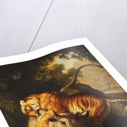 A Tiger attacking a Bull, 1785 by Johan Wenzel Peter
