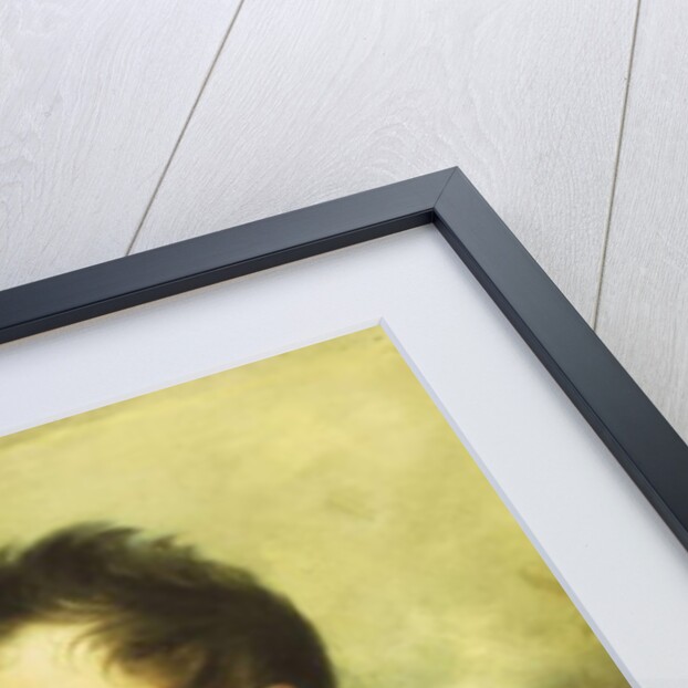 Portrait of William Henry Paget Marquess of Anglesey, half length by William Beechey