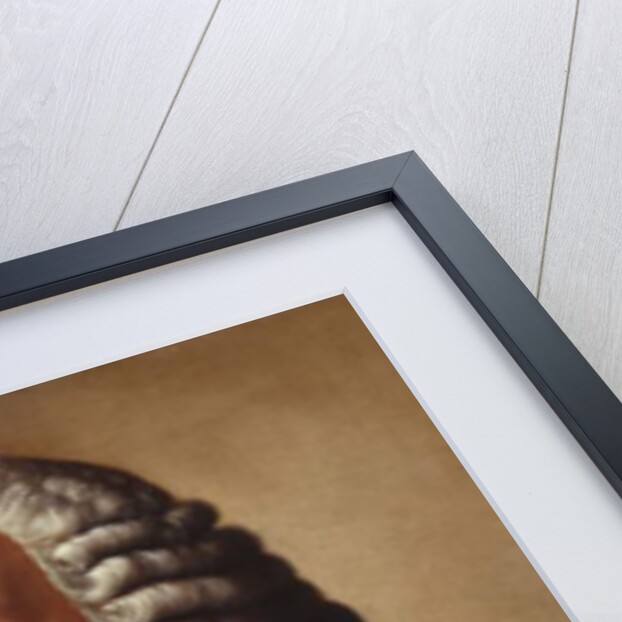 Portrait of Willem Bentinck, 1st Count Bentinck, half-length, in a Red Velvet Coat, 1755 by Jean-Etienne Liotard