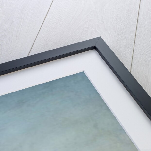 The Piazza San Marco and the Piazzetta, Venice, looking South-West, 1741 by Antonio de dipi Joli