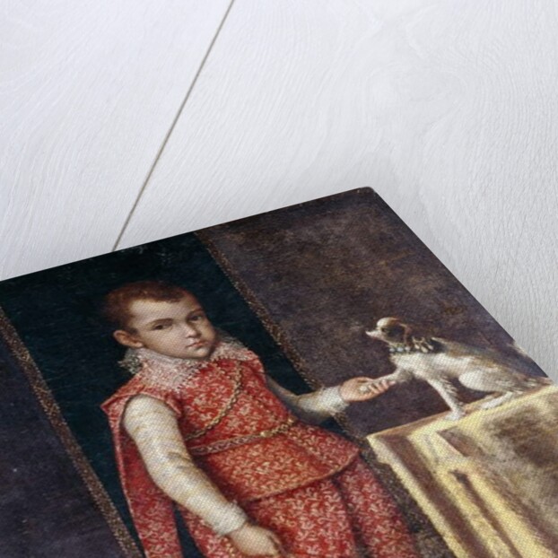 Portrait of a Boy, full-length, wearing a silver-embroidered red costume, holding the paw of a spaniel on a table by Lavinia Fontana