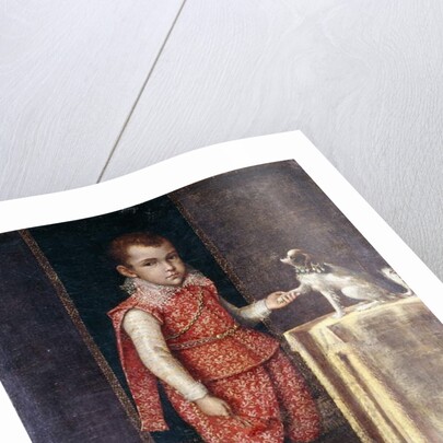 Portrait of a Boy, full-length, wearing a silver-embroidered red costume, holding the paw of a spaniel on a table by Lavinia Fontana