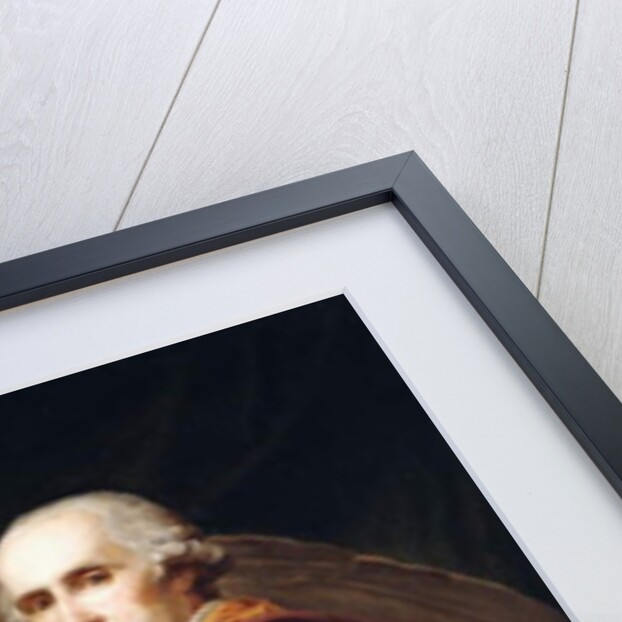 Portrait of Antonio Canova, three-quarter length, in brown robes by Johann Baptist I Lampi