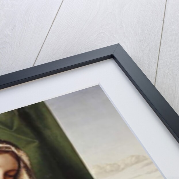 The Madonna and Child with a Male Donor, a landscape beyond by Giovanni Bellini